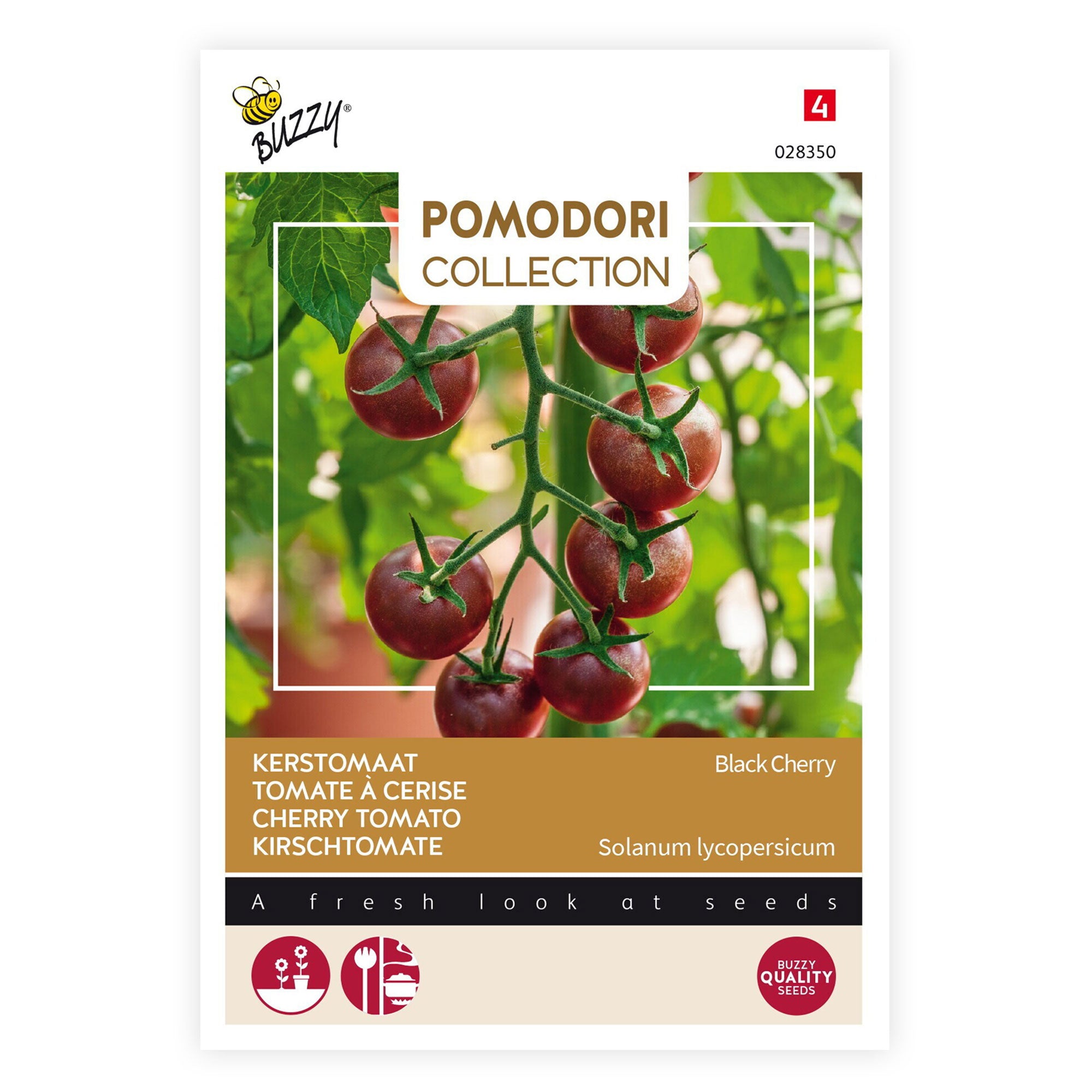 Graines Biologiques De Tomate Black Cherry - Pensez Sauvage