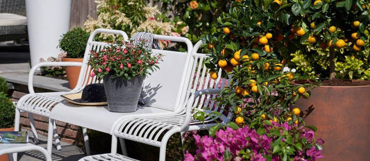 Vivez dehors: choisissez votre tendance jardin pour l'été!