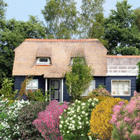 Haie des quatre saisons Tamarix + Forsythia + Philadelphus + Ribes + Symphonicarpus + Viburnum - Plants à racines nues