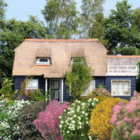 Haie des quatre saisons Tamarix + Forsythia + Philadelphus + Ribes + Symphonicarpus + Viburnum - Plants à racines nues