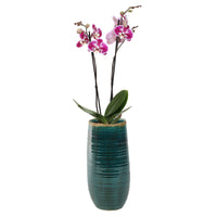 TS pot de fleurs haut Iris rond bleu - Pot pour l'intérieur