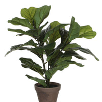 Ficus Lyrata (Fig fiddleleaf) artificiel