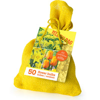 50x bulbes de fleurs dans un sac de jute Jaune