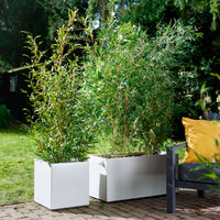 Elho bac à plantes Vivo Matt Finish carré blanc avec roues - Pot pour l'intérieur et l'extérieur