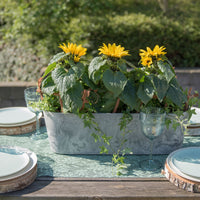 Artstone jardinière Claire ovale gris - Pot pour l'intérieur et l'extérieur