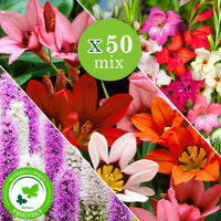 50x Bulbes de fleurs - Mélange 'For Bees & Butterflies' Violet-Jaune-Bleu