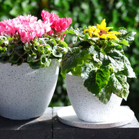 TS pot de fleurs Nova rond blanc - Pot pour l'extérieur