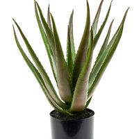 Plante artificielle Aloe vera vert-rouge avec cache-pot anthracite