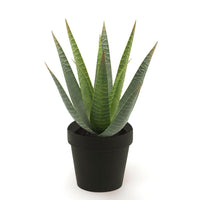 Plante artificielle Aloe vera avec cache-pot noir