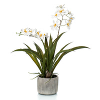 Plante artificielle Orchidée Oncidium blanc-jaune avec cache-pot céramique