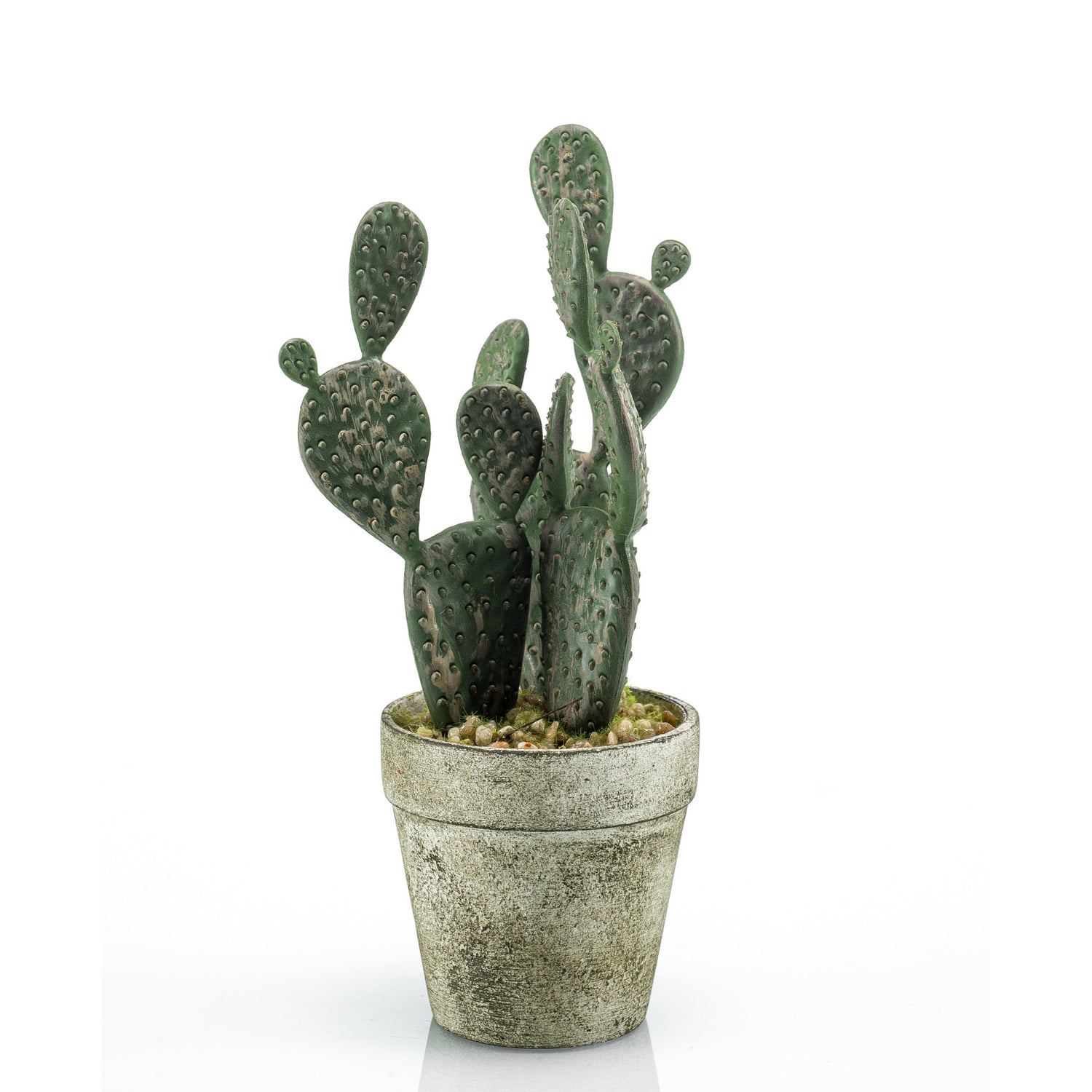 Cactus artificiels