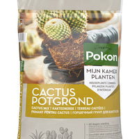 Terreau pour cactus et succulentes 5 litres - Pokon