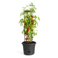 Elho pot de tomates Green basics rond noir - Pot pour l'extérieur