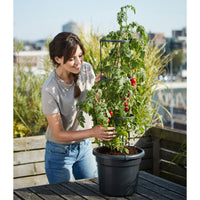 Elho pot de tomates Green basics rond noir - Pot pour l'extérieur