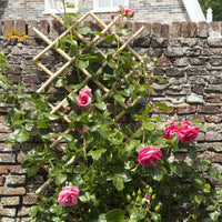 Nature Espalier en bambou marron