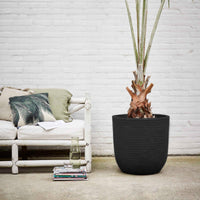 Capi pot de fleurs Nature row rond noir - Pot pour l'intérieur et l'extérieur