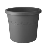 Laurier en arbre Laurus nobilis vert incl. Cache-pot Elho anthracite