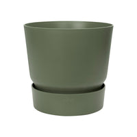 Bananier Musa basjoo avec  Cache-pot Elho vert