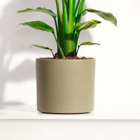 Mica pot de fleurs Era rond vert relief - Pot pour l'intérieur