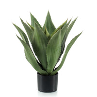 Succulente artificielle Agave