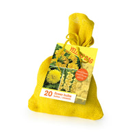 20x Bulbes de fleurs - Mélange 'The Yellow Bag' Jaune