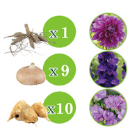 20x Bulbes de fleurs - Mélange 'The Purple Bag' Violet