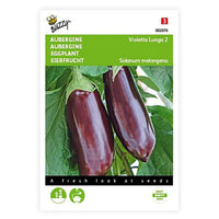 Aubergine Solanum 'Violetta Lunga' 10 m² - Semences de légumes