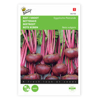 Betterave rouge Beta 'Egypt' 5 m² - Semences de légumes