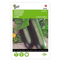 Concombre Cucumis 'Johanna' 10 m² - Semences de légumes