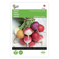 Radis Raphanus sativus 5 m² - Semences de légumes