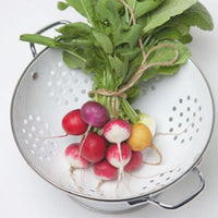 Radis Raphanus sativus 5 m² - Semences de légumes