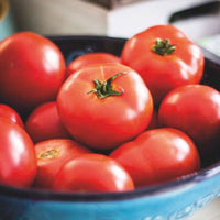 Tomate Solanum 'Moneymaker' 10 m² - Semences de légumes