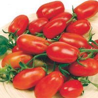 Tomate Solanum 'Ravello F1' 2 m² - Semences de légumes