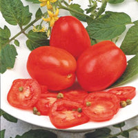 Tomate Solanum 'Super Roma' rouge 2 m² - Semences de légumes