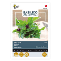 Basilic thaï Ocimum 10 m² - Semences d’herbes