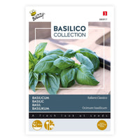 Basilic Ocimum 'Italiano Classico' 10 m² - Semences d’herbes