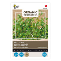 Graines de brocoli à germer Brassica oleracea - Biologique 36 m² - Semences de légumes