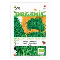 Ciboulette Allium 'Prager' - Biologique 4 m² - Semences d’herbes