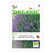 Lavande Lavandula angustifolia - Biologique violet 4 m² - Semences d’herbes