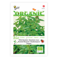 Marjolaine Origanum vulgare - Biologique 10 m² - Semences d’herbes