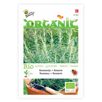 Romarin Rosmarinus officinalis - Biologique 2 m² - Semences d’herbes
