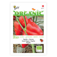 Poivron Capsicum 'Piquillo ' - Biologique 4 m² - Semences de légumes