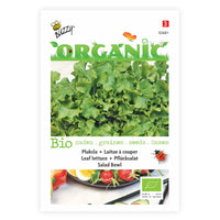 Feuille de chêne Lactuca 'Salad bowl' - Biologique 30 m² - Semences de légumes