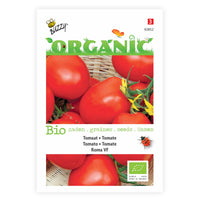Tomate Solanum 'Shirley' - Bio 10 m² - Semences de légumes