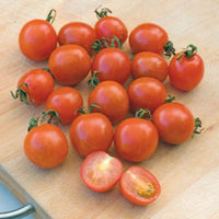 Tomate cerise Solanum 'Koralik' - Biologique - Semences de légumes