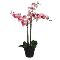 Plante artificielle Orchidée Phalaenopsis rose Avec cache-pot rond en plastique