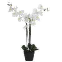 Plante artificielle Orchidée Phalaenopsis blanc Avec cache-pot rond en plastique