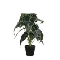 Plante artificielle Oreilles d'éléphant Alocasia Avec cache-pot rond en plastique