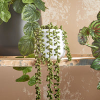 Plante artificielle Succulente Senecio 'Pearl'
