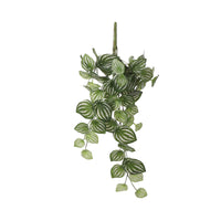 Plante artificielle Peperomia vert-blanc